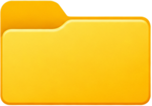 Level 0